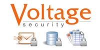 Voltage Security